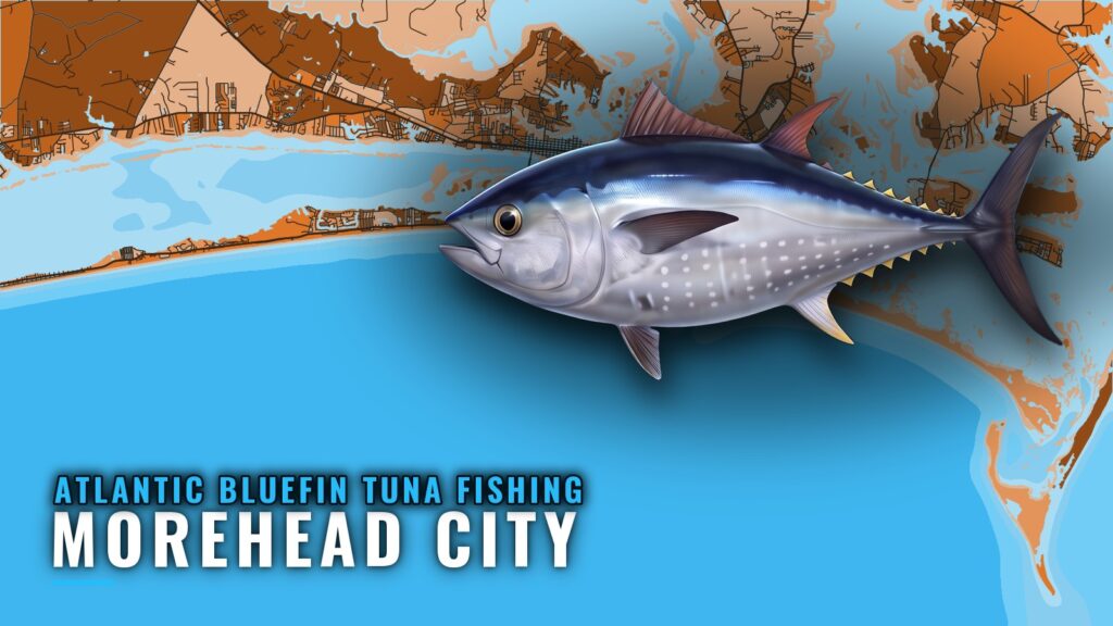 Atlantic Bluefin Tuna Fishing Out of Morehead City, NC