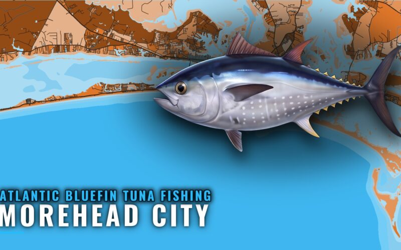 Atlantic Bluefin Tuna Fishing Out of Morehead City, NC