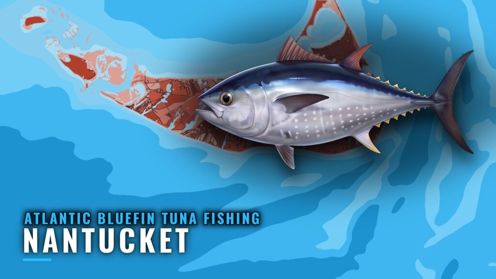 Atlantic Bluefin Tuna Fishing Out of Nantucket: Port Guide