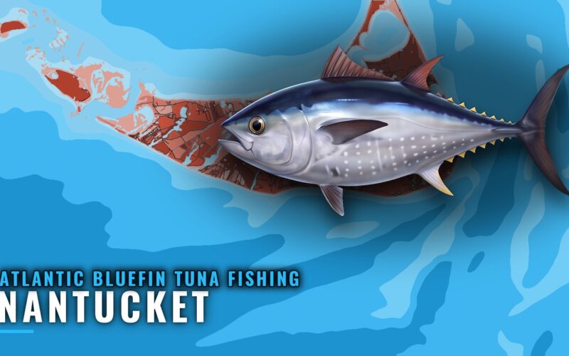 Atlantic Bluefin Tuna Fishing Out of Nantucket: Port Guide