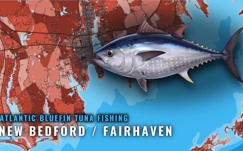 Atlantic Bluefin Tuna Fishing Out of New Bedford / Fairhaven