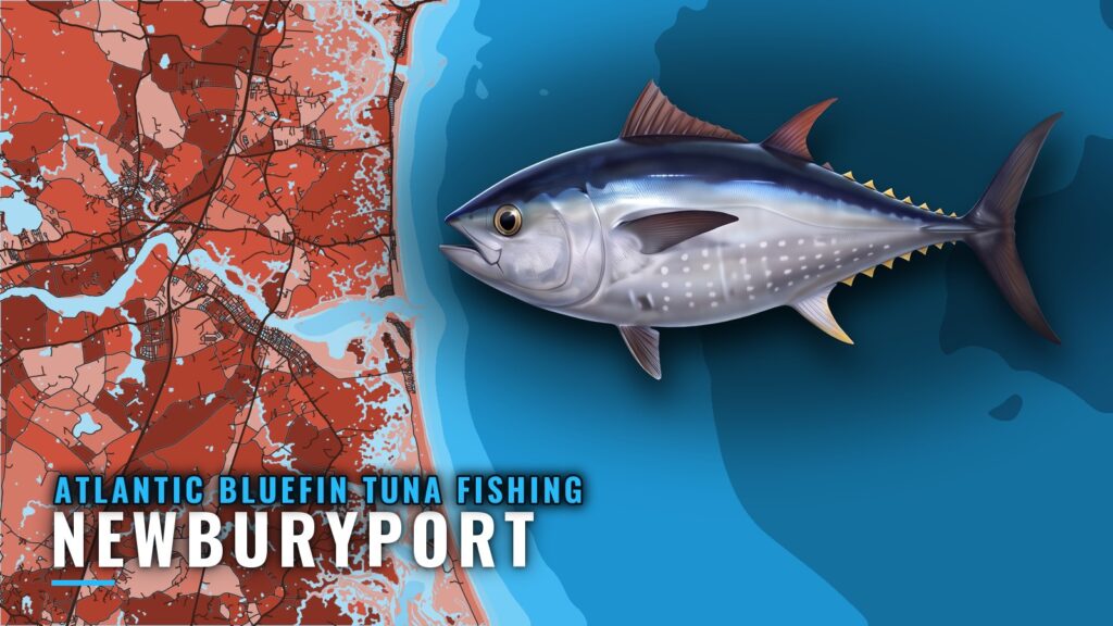 Atlantic bluefin tuna fishing out of Newburyport, MA