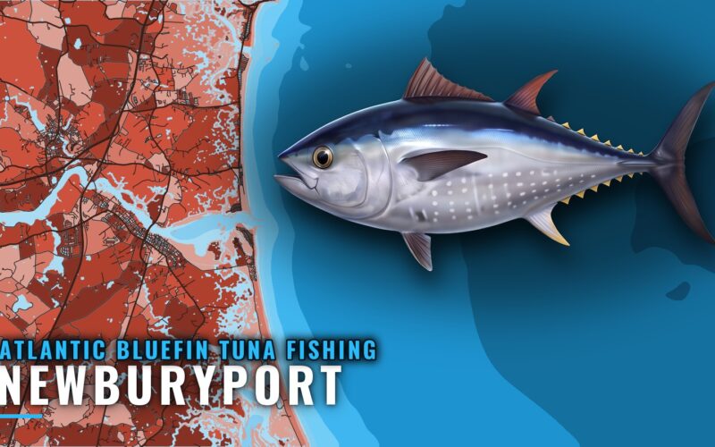 Atlantic bluefin tuna fishing out of Newburyport, MA