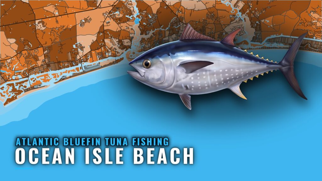 Atlantic bluefin tuna fishing out of Ocean Isle Beach, NC