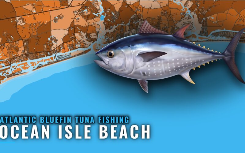 Atlantic bluefin tuna fishing out of Ocean Isle Beach, NC