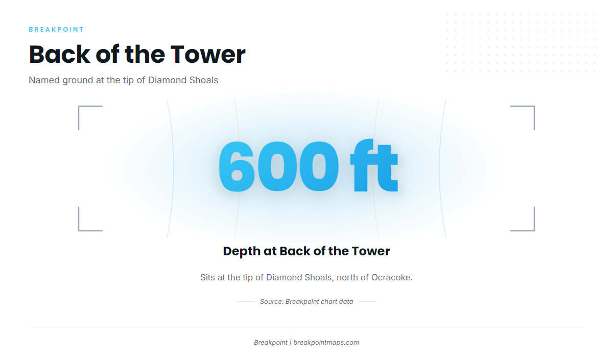 Back of the Tower