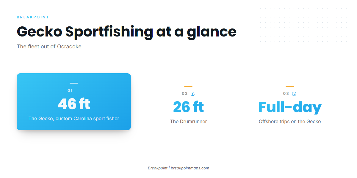 Who fishes for them out of Ocracoke