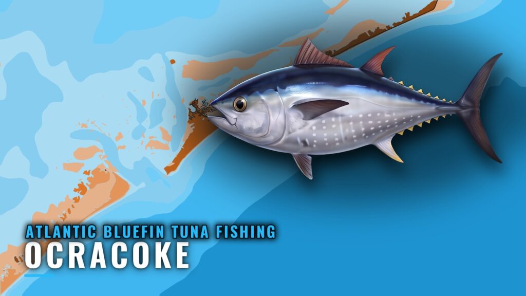 Atlantic bluefin tuna fishing out of Ocracoke: the grounds