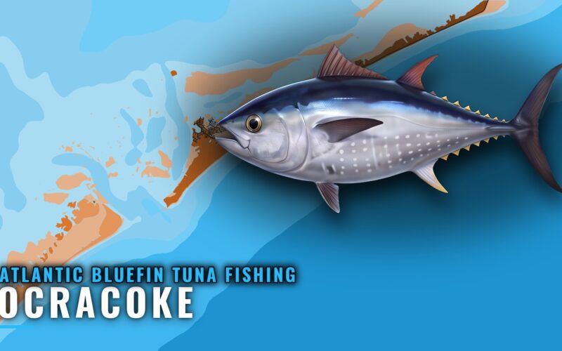 Atlantic bluefin tuna fishing out of Ocracoke: the grounds