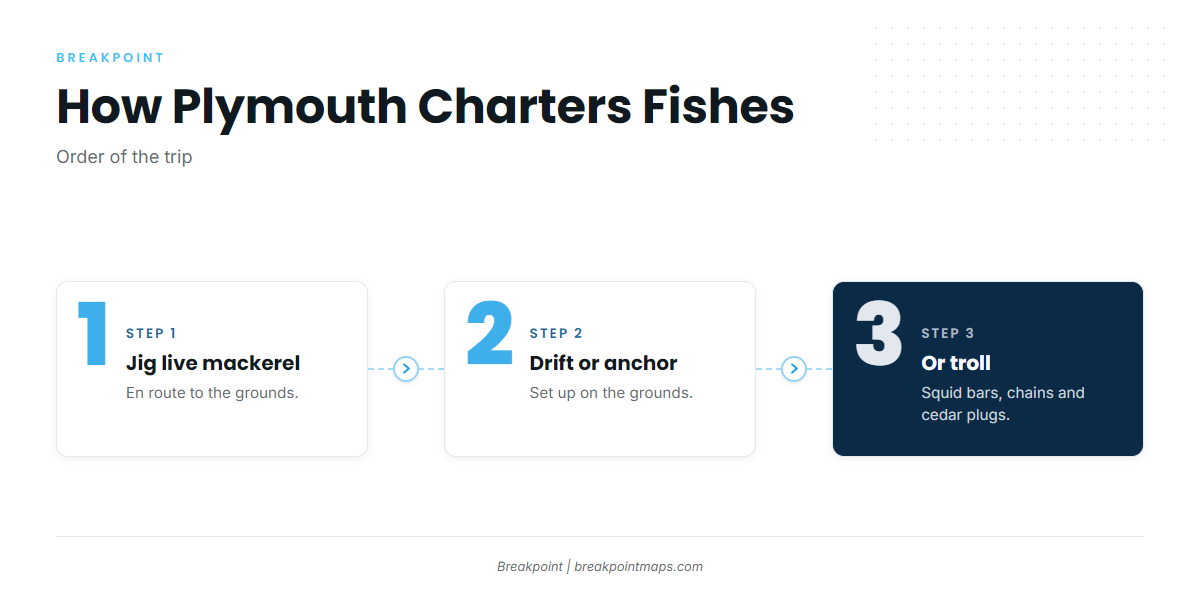 How the Local Fleet Fishes Bluefin