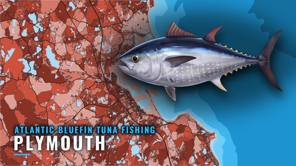 Atlantic Bluefin Tuna Fishing Out of Plymouth, MA