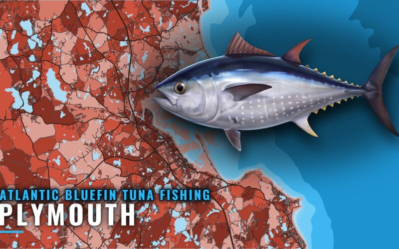 Atlantic Bluefin Tuna Fishing Out of Plymouth, MA