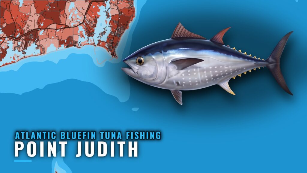 Atlantic Bluefin Tuna Fishing Out of Point Judith, RI