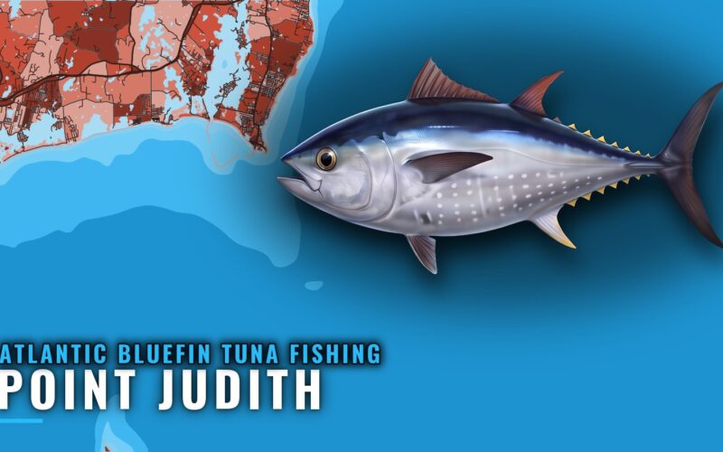 Atlantic Bluefin Tuna Fishing Out of Point Judith, RI