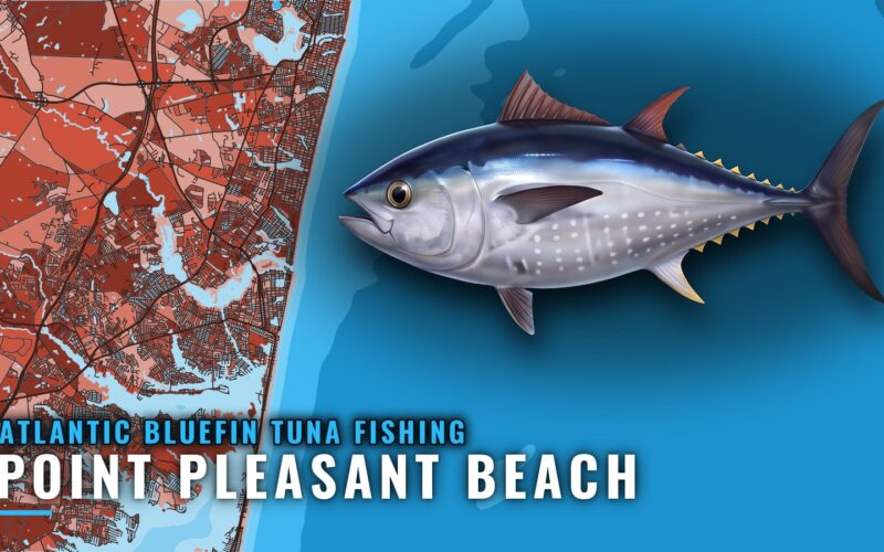 Atlantic Bluefin Tuna Fishing Out of Point Pleasant Beach