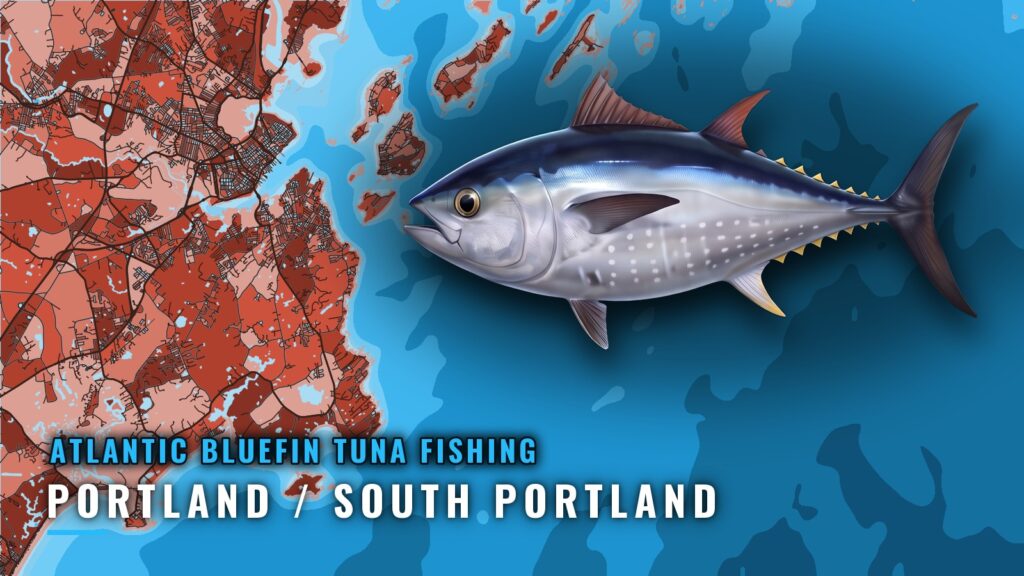 Bluefin Tuna Fishing Out of Portland / South Portland