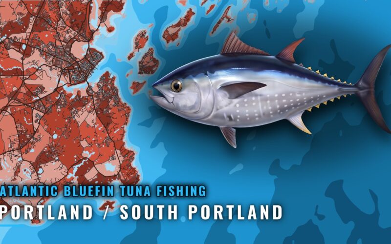 Bluefin Tuna Fishing Out of Portland / South Portland