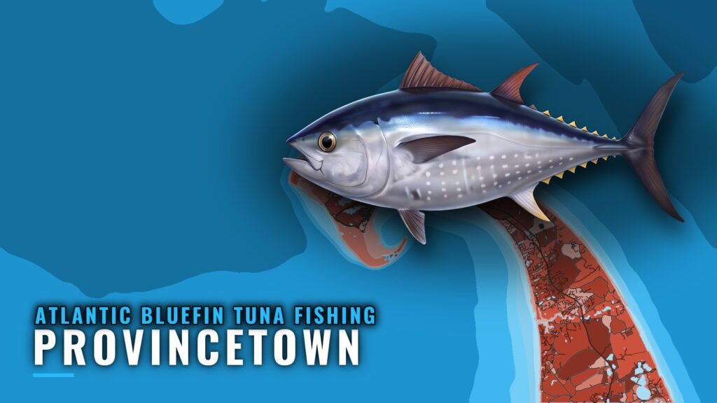 Atlantic Bluefin Tuna Fishing Out of Provincetown, MA