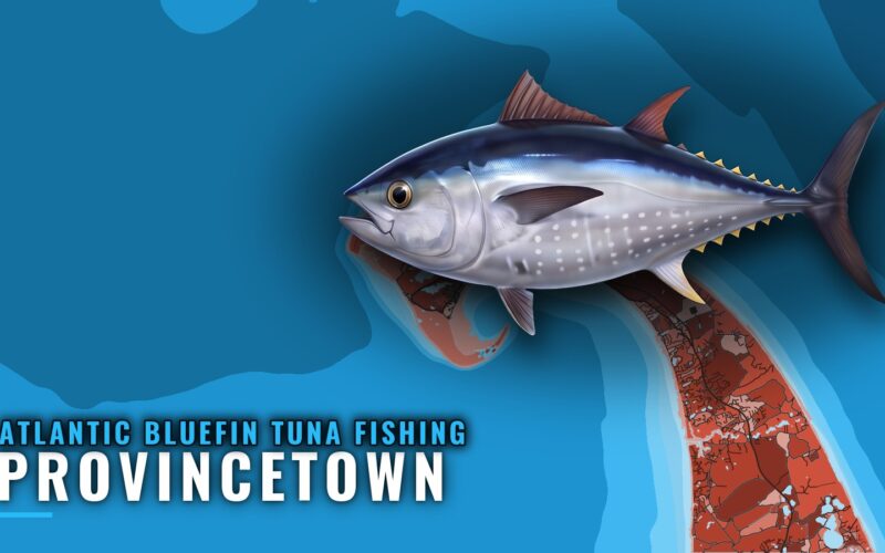 Atlantic Bluefin Tuna Fishing Out of Provincetown, MA