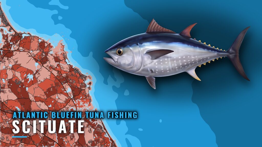 Atlantic Bluefin Tuna Fishing Out of Scituate, MA