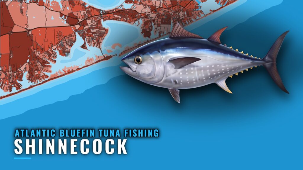 Atlantic Bluefin Tuna Fishing Out of Shinnecock: Port Guide