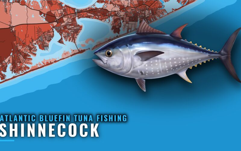Atlantic Bluefin Tuna Fishing Out of Shinnecock: Port Guide