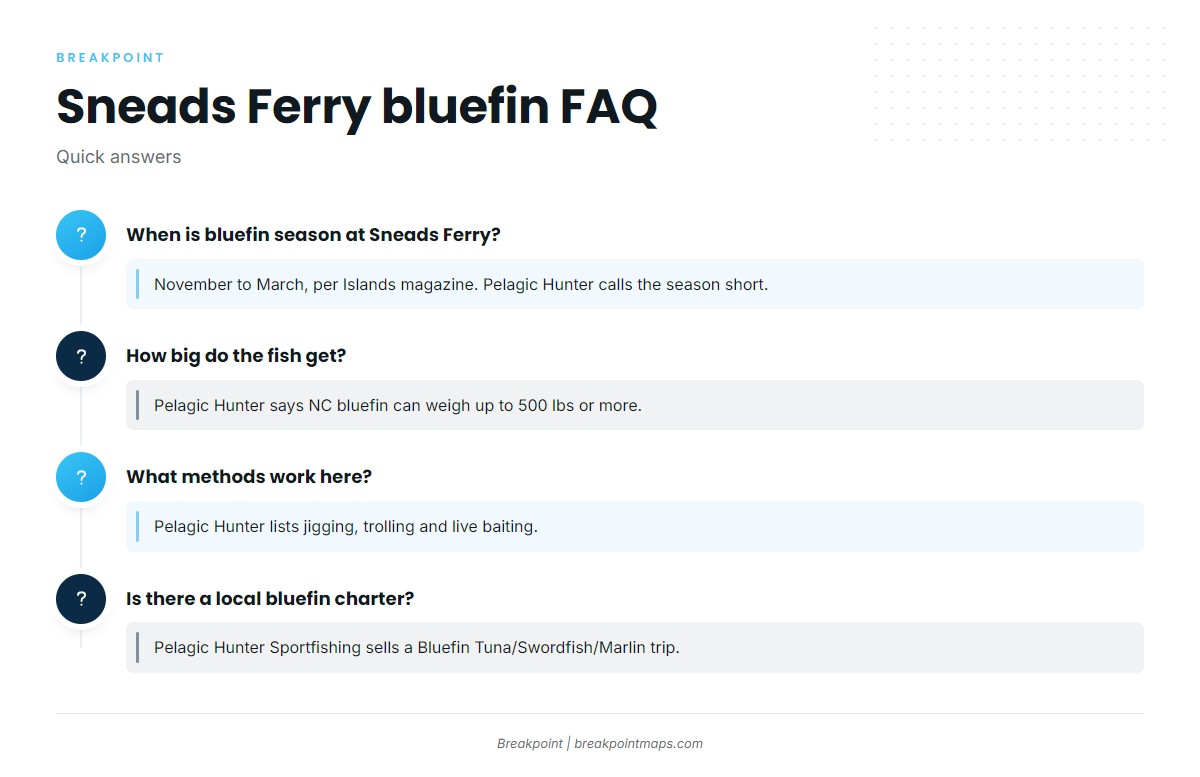 FAQ: Sneads Ferry bluefin