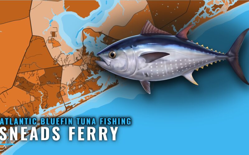 Atlantic Bluefin Tuna Fishing Out of Sneads Ferry, NC