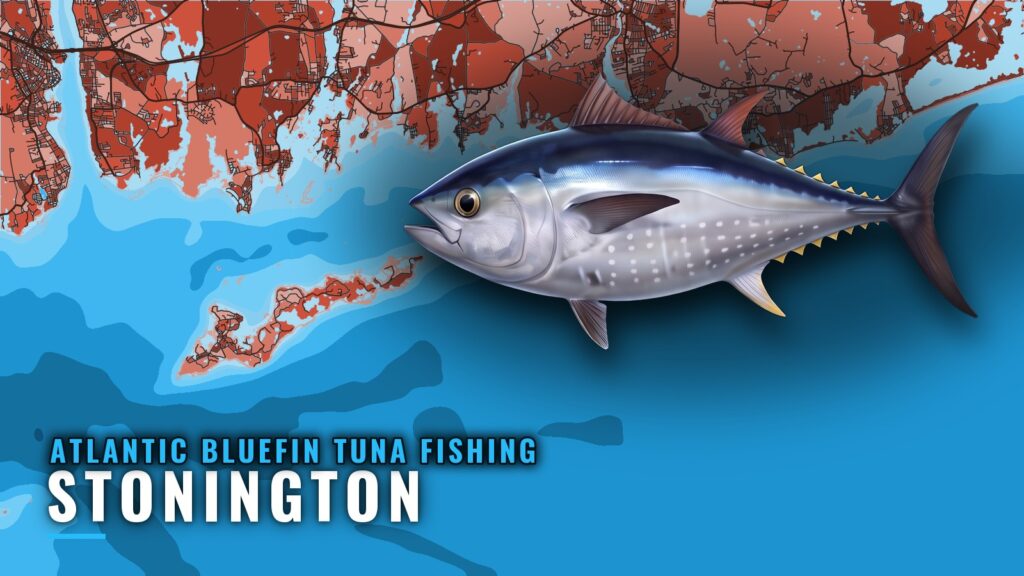 Atlantic Bluefin Tuna Fishing Out of Stonington, CT
