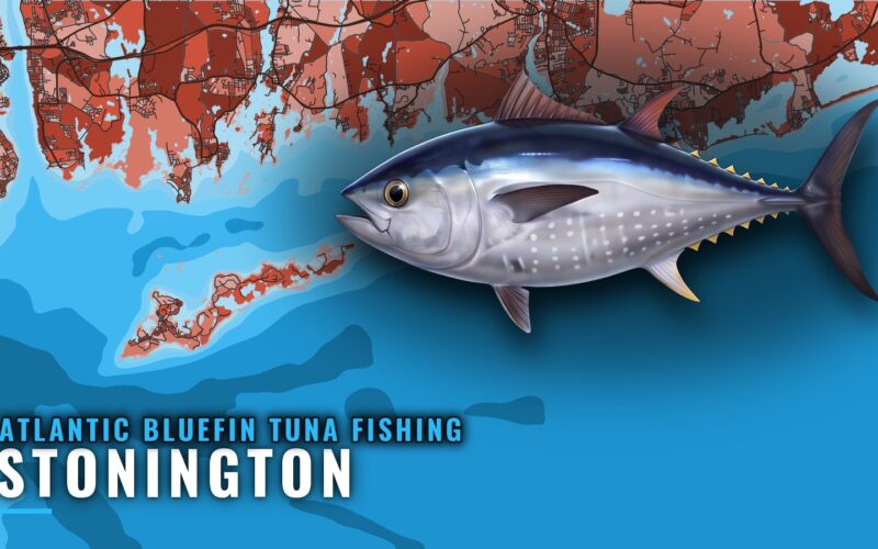 Atlantic Bluefin Tuna Fishing Out of Stonington, CT