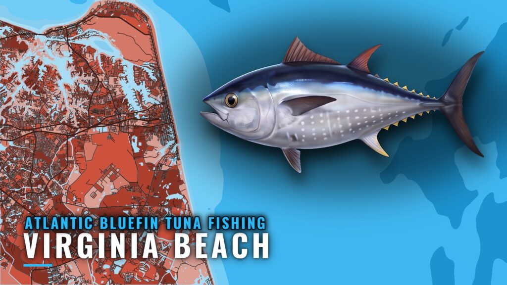 Atlantic Bluefin Tuna Fishing Out of Virginia Beach: Winter