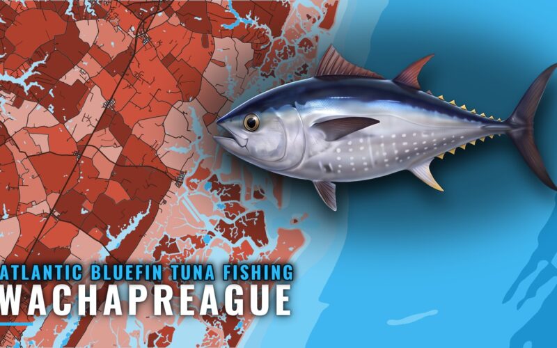 Atlantic Bluefin Tuna Fishing Out of Wachapreague, VA