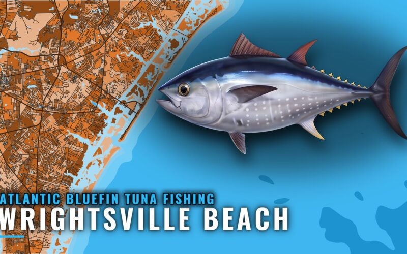 Atlantic Bluefin Tuna Fishing out of Wrightsville Beach, NC