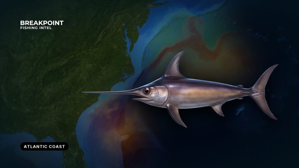 Atlantic HMS Permits and Reporting for Recreational Anglers