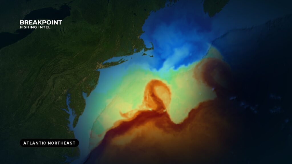 Atlantic Northeast Fishing Guide: Hatteras to Gulf of Maine