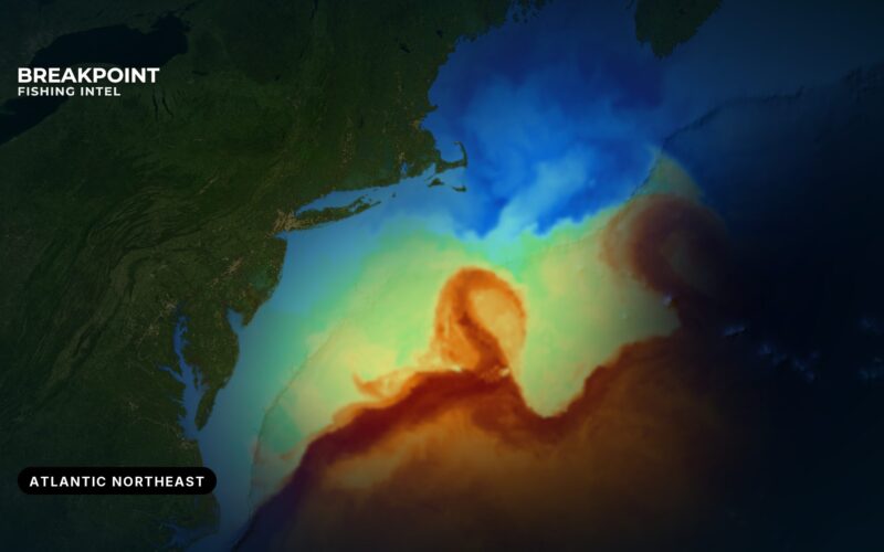 Atlantic Northeast Fishing Guide: Hatteras to Gulf of Maine