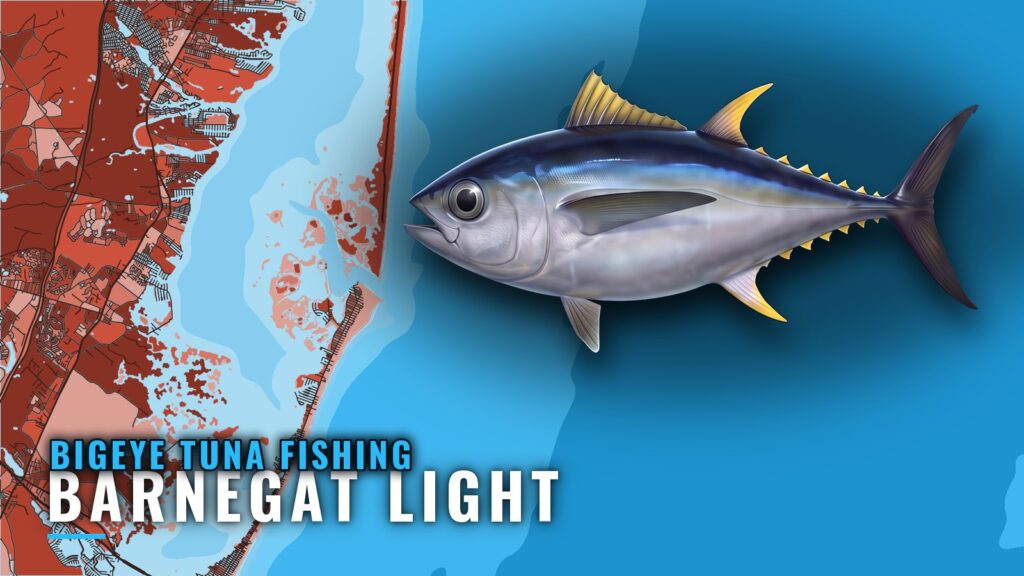 Bigeye Tuna Fishing out of Barnegat Light: Run and Bite