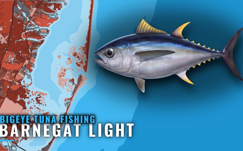 Bigeye Tuna Fishing out of Barnegat Light: Run and Bite