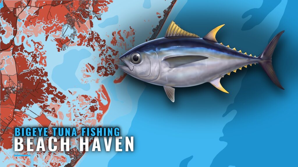 Bigeye Tuna Fishing Out of Beach Haven: Canyons and Timing