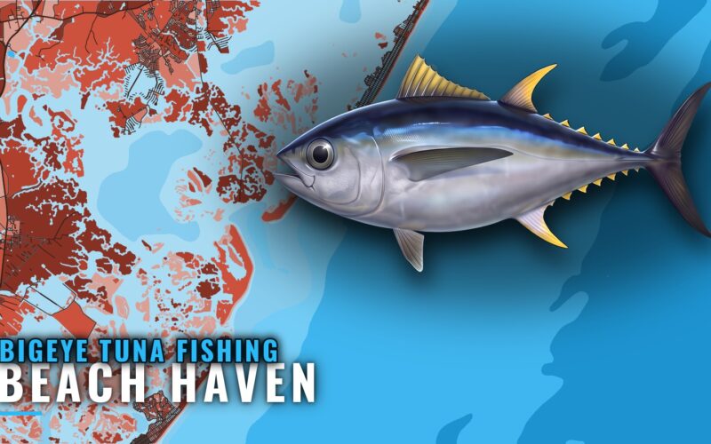 Bigeye Tuna Fishing Out of Beach Haven: Canyons and Timing