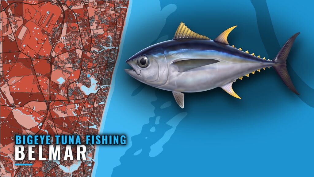 Bigeye Tuna Fishing Out of Belmar: Season, Runs, Structure