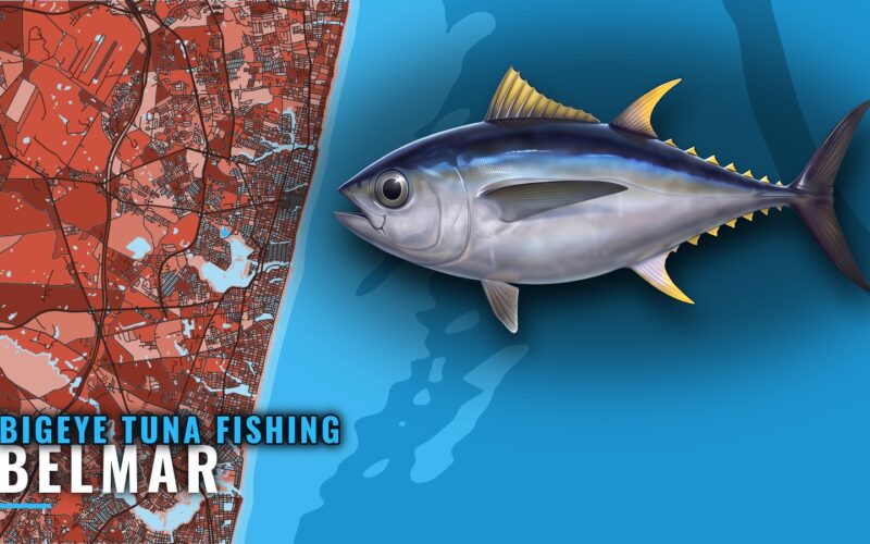 Bigeye Tuna Fishing Out of Belmar: Season, Runs, Structure