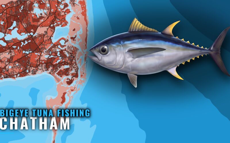 Bigeye Tuna Fishing Out of Chatham: Canyons and Marks