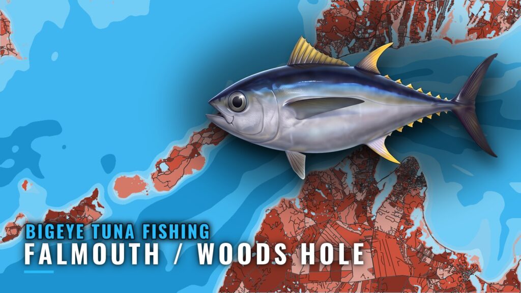 Bigeye tuna fishing out of Falmouth / Woods Hole: The Run