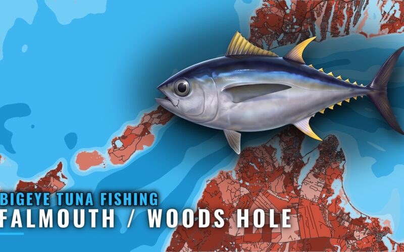 Bigeye tuna fishing out of Falmouth / Woods Hole: The Run
