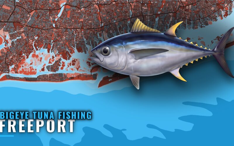 Bigeye Tuna Fishing Out of Freeport: Runs, Reefs, Fleet