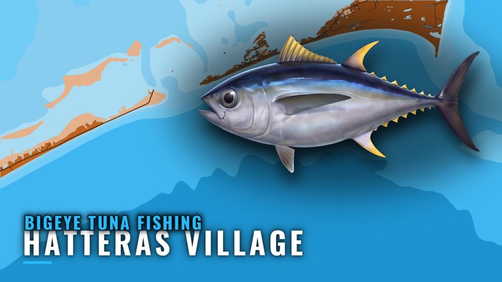 Bigeye Tuna Fishing out of Hatteras Village: When and Where