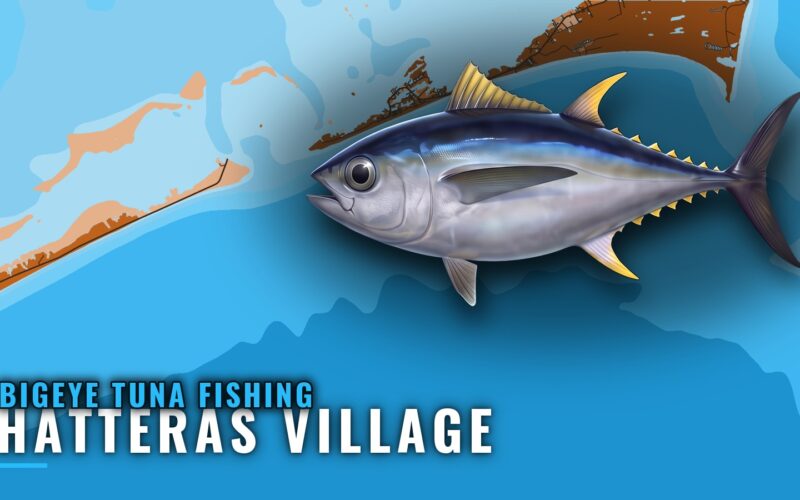 Bigeye Tuna Fishing out of Hatteras Village: When and Where