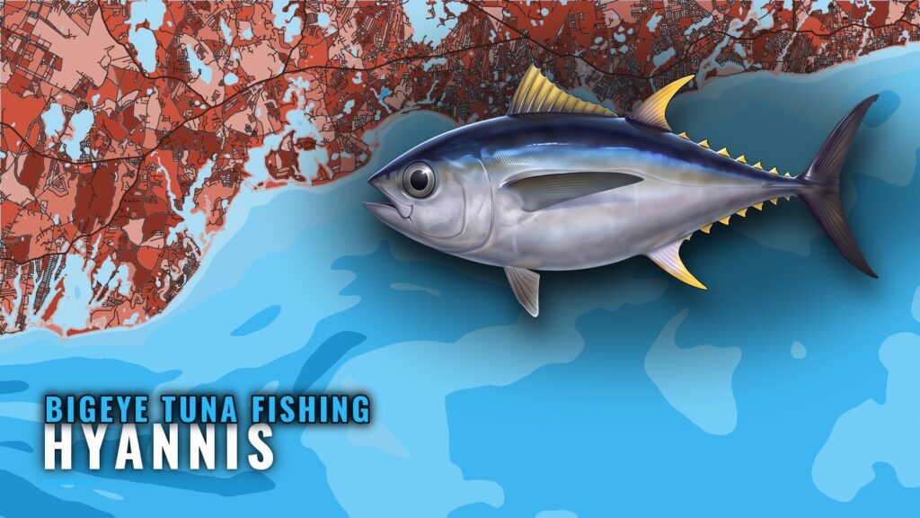Bigeye tuna fishing out of Hyannis: window, grounds, boats
