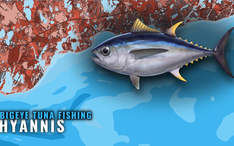 Bigeye tuna fishing out of Hyannis: window, grounds, boats